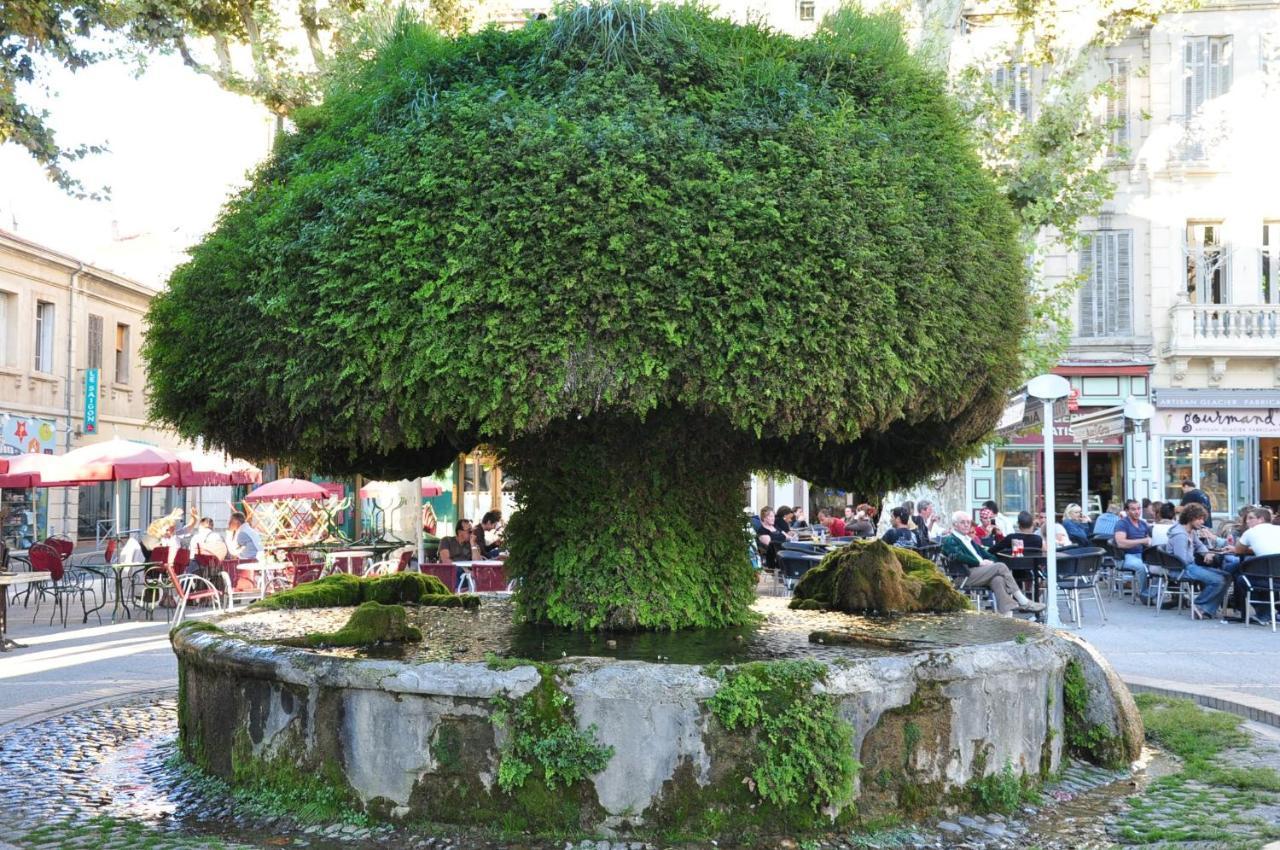 La Pause Salonaise "Au Coeur De La Ville" Kültér fotó